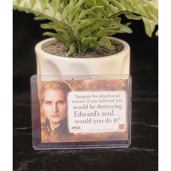 Collectible Carlisle New Moon Trading Card with Protective Sheath - Picture 4 of 6